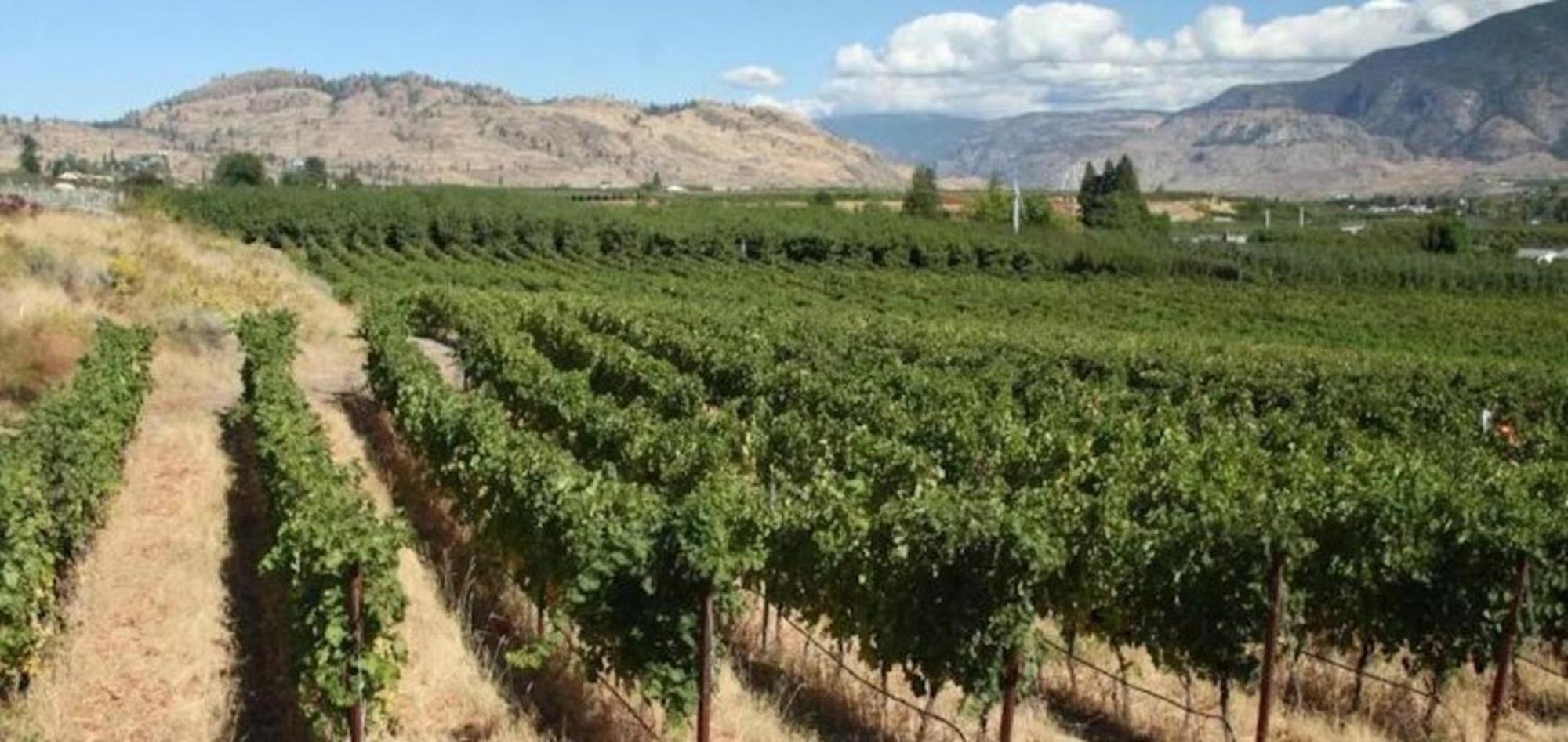 Holiday Inn Hotel & Suites Osoyoos By Ihg Exteriör bild