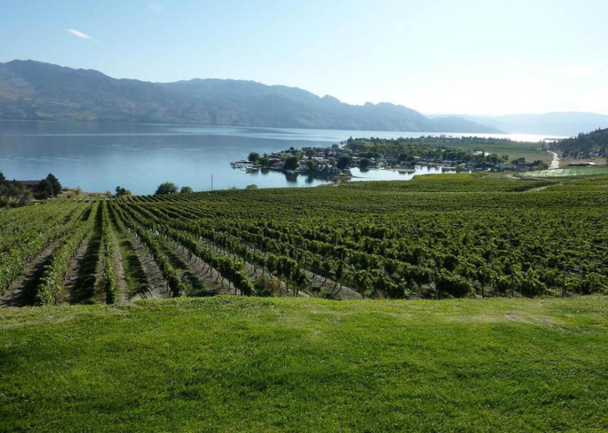 Holiday Inn Hotel & Suites Osoyoos By Ihg Exteriör bild
